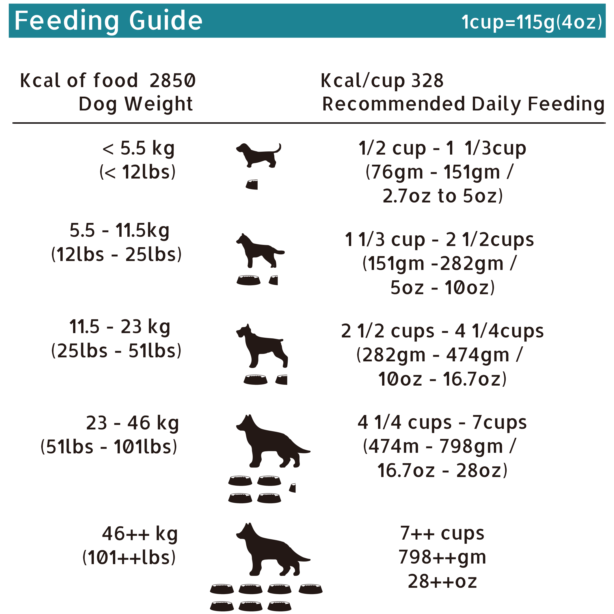 D DV FEEDING